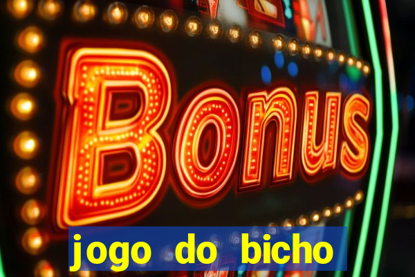 jogo do bicho crash bingo